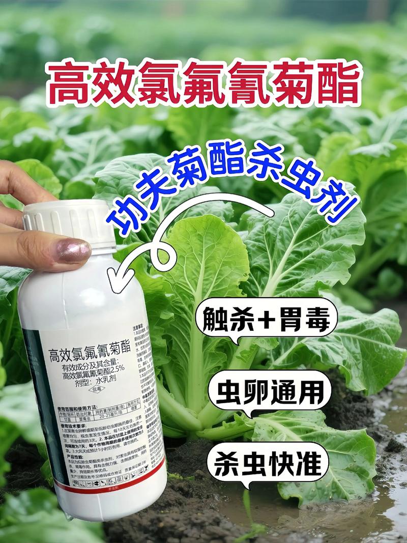 武汉代生中心:农药对供卵代生妈妈的危害